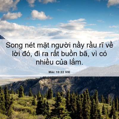Picture 06 - Mác 10:22 VIE - Song nét mặt người nầy rầu rĩ về - Bible Verse Picture