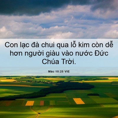 Picture 06 - Mác 10:25 VIE - Con lạc đà chui qua lỗ kim còn dễ hơn - Bible Verse Picture
