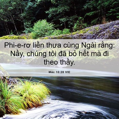 Picture 06 - Mác 10:28 VIE - Phi-e-rơ liền thưa cùng Ngài rằng: Nầy, - Bible Verse Picture