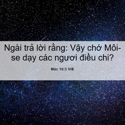 Picture 06 - Mác 10:3 VIE - Ngài trả lời rằng: Vậy chớ Môi-se - Bible Verse Picture