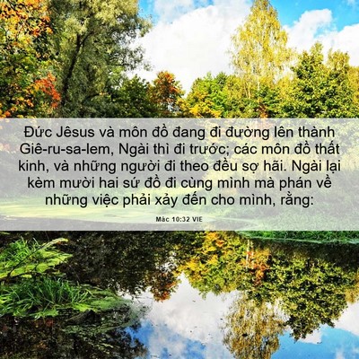 Picture 06 - Mác 10:32 VIE - Đức Jêsus và môn đồ đang đi đường - Bible Verse Picture