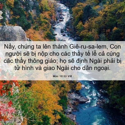 Picture 06 - Mác 10:33 VIE - Nầy, chúng ta lên thành Giê-ru-sa-lem, Con - Bible Verse Picture