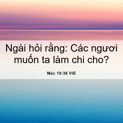Picture 06 - Mác 10:36 VIE - Ngài hỏi rằng: Các ngươi muốn ta làm - Bible Verse Picture