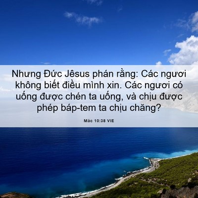 Picture 06 - Mác 10:38 VIE - Nhưng Đức Jêsus phán rằng: Các ngươi - Bible Verse Picture