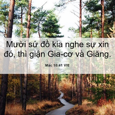 Picture 06 - Mác 10:41 VIE - Mười sứ đồ kia nghe sự xin đó, thì - Bible Verse Picture