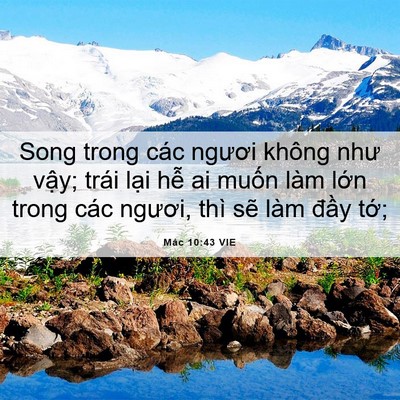Picture 06 - Mác 10:43 VIE - Song trong các ngươi không như vậy; trái - Bible Verse Picture