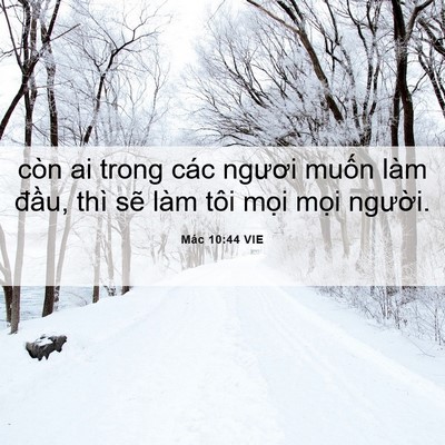 Picture 06 - Mác 10:44 VIE - còn ai trong các ngươi muốn làm đầu, - Bible Verse Picture
