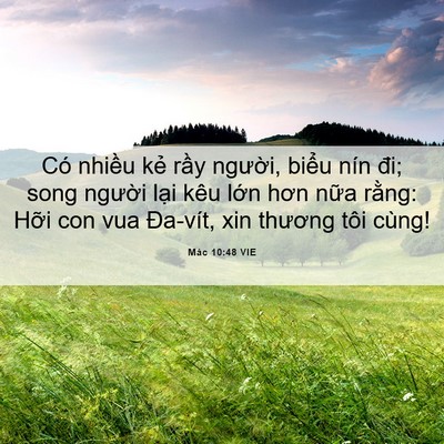 Picture 06 - Mác 10:48 VIE - Có nhiều kẻ rầy người, biểu nín đi; - Bible Verse Picture