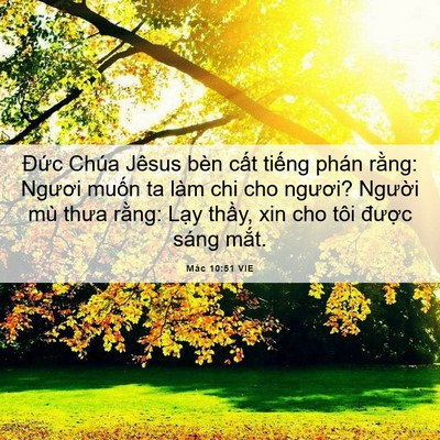 Picture 06 - Mác 10:51 VIE - Đức Chúa Jêsus bèn cất tiếng phán - Bible Verse Picture