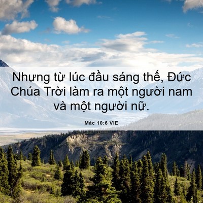 Picture 06 - Mác 10:6 VIE - Nhưng từ lúc đầu sáng thế, Đức Chúa - Bible Verse Picture