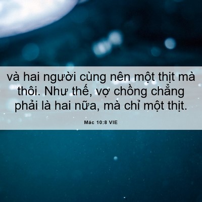 Picture 06 - Mác 10:8 VIE - và hai người cùng nên một thịt mà - Bible Verse Picture