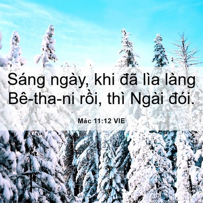 Picture 06 - Mác 11:12 VIE - Sáng ngày, khi đã lìa làng Bê-tha-ni - Bible Verse Picture