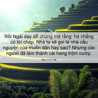 Picture 06 - Mác 11:17 VIE - Rồi Ngài dạy dỗ chúng mà rằng: há - Bible Verse Picture