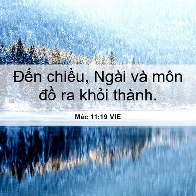 Picture 06 - Mác 11:19 VIE - Đến chiều, Ngài và môn đồ ra khỏi - Bible Verse Picture