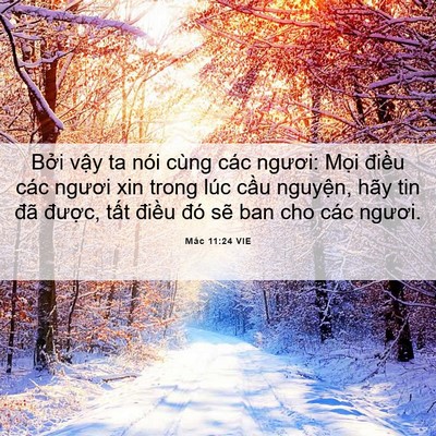 Picture 06 - Mác 11:24 VIE - Bởi vậy ta nói cùng các ngươi: Mọi - Bible Verse Picture