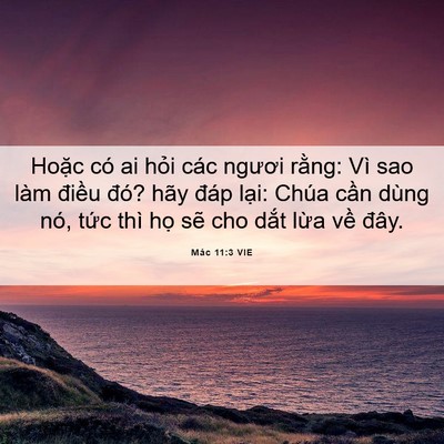 Picture 06 - Mác 11:3 VIE - Hoặc có ai hỏi các ngươi rằng: Vì sao - Bible Verse Picture