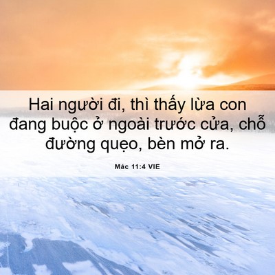 Picture 06 - Mác 11:4 VIE - Hai người đi, thì thấy lừa con đang - Bible Verse Picture
