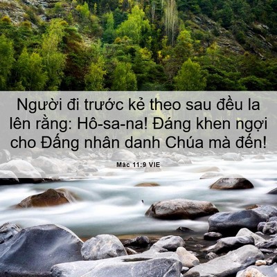 Picture 06 - Mác 11:9 VIE - Người đi trước kẻ theo sau đều la - Bible Verse Picture