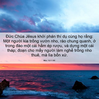 Picture 06 - Mác 12:1 VIE - Đức Chúa Jêsus khởi phán thí dụ cùng - Bible Verse Picture