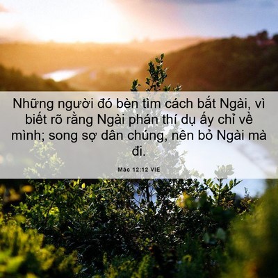 Picture 06 - Mác 12:12 VIE - Những người đó bèn tìm cách bắt - Bible Verse Picture