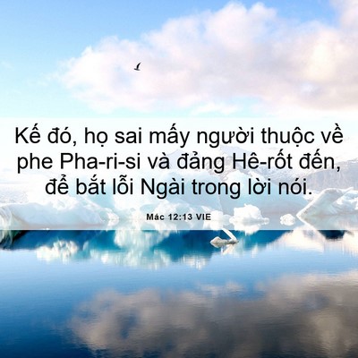 Picture 06 - Mác 12:13 VIE - Kế đó, họ sai mấy người thuộc về - Bible Verse Picture