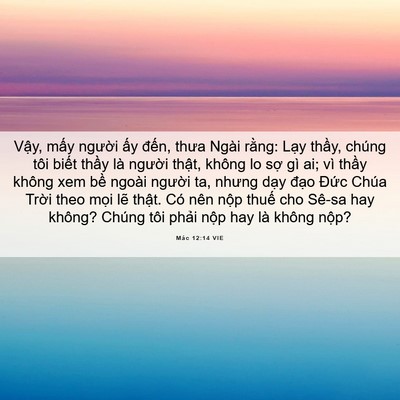 Picture 06 - Mác 12:14 VIE - Vậy, mấy người ấy đến, thưa Ngài - Bible Verse Picture