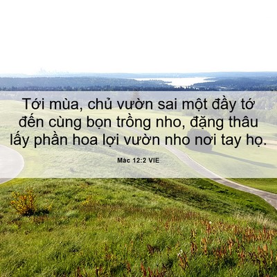 Picture 06 - Mác 12:2 VIE - Tới mùa, chủ vườn sai một đầy tớ - Bible Verse Picture