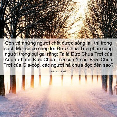 Picture 06 - Mác 12:26 VIE - Còn về những người chết được sống - Bible Verse Picture
