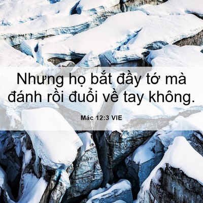 Picture 06 - Mác 12:3 VIE - Nhưng họ bắt đầy tớ mà đánh rồi - Bible Verse Picture