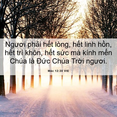Picture 06 - Mác 12:30 VIE - Ngươi phải hết lòng, hết linh hồn, - Bible Verse Picture