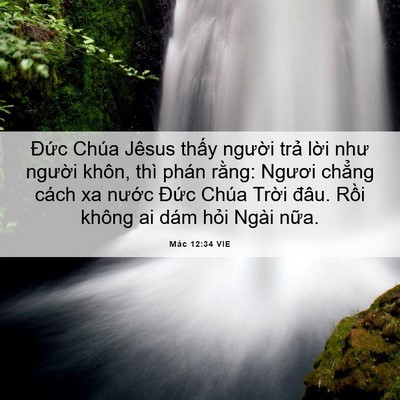 Picture 06 - Mác 12:34 VIE - Đức Chúa Jêsus thấy người trả lời - Bible Verse Picture