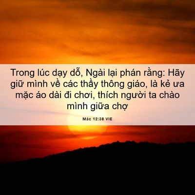 Picture 06 - Mác 12:38 VIE - Trong lúc dạy dỗ, Ngài lại phán rằng: - Bible Verse Picture