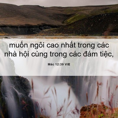 Picture 06 - Mác 12:39 VIE - muốn ngôi cao nhất trong các nhà hội - Bible Verse Picture
