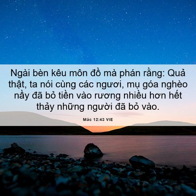 Picture 06 - Mác 12:43 VIE - Ngài bèn kêu môn đồ mà phán rằng: - Bible Verse Picture