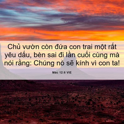 Picture 06 - Mác 12:6 VIE - Chủ vườn còn đứa con trai một rất - Bible Verse Picture