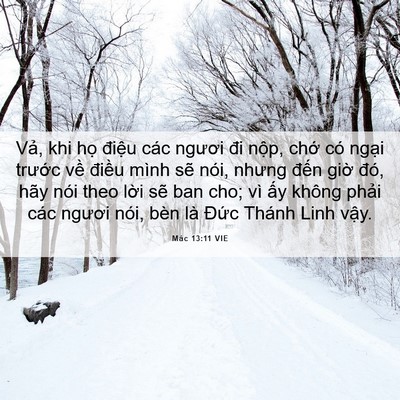 Picture 06 - Mác 13:11 VIE - Vả, khi họ điệu các ngươi đi nộp, - Bible Verse Picture