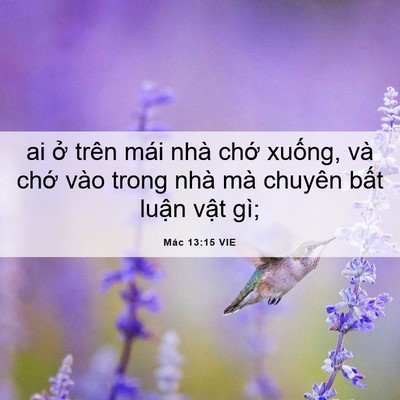 Picture 06 - Mác 13:15 VIE - ai ở trên mái nhà chớ xuống, và chớ - Bible Verse Picture