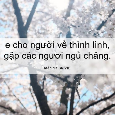 Picture 06 - Mác 13:36 VIE - e cho người về thình lình, gặp các - Bible Verse Picture