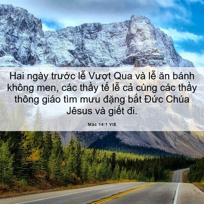 Picture 06 - Mác 14:1 VIE - Hai ngày trước lễ Vượt Qua và lễ ăn - Bible Verse Picture