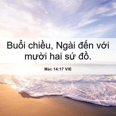 Picture 06 - Mác 14:17 VIE - Buổi chiều, Ngài đến với mười hai - Bible Verse Picture