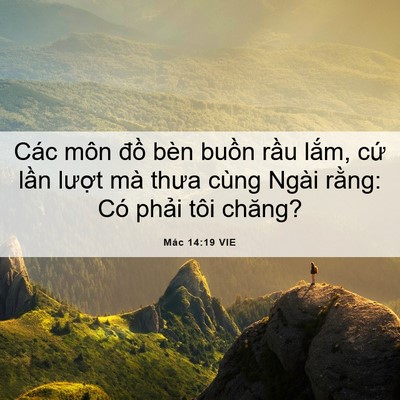 Picture 06 - Mác 14:19 VIE - Các môn đồ bèn buồn rầu lắm, cứ - Bible Verse Picture