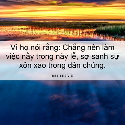 Picture 06 - Mác 14:2 VIE - Vì họ nói rằng: Chẳng nên làm việc - Bible Verse Picture