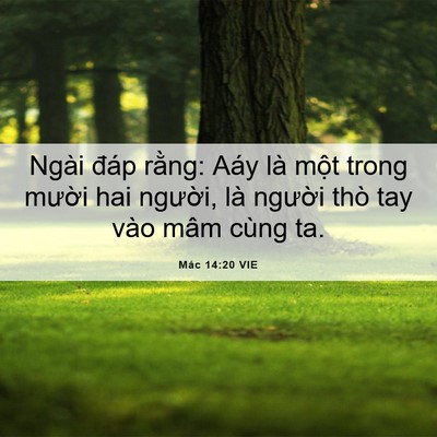 Picture 06 - Mác 14:20 VIE - Ngài đáp rằng: Aáy là một trong mười - Bible Verse Picture