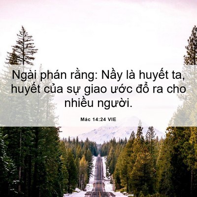 Picture 06 - Mác 14:24 VIE - Ngài phán rằng: Nầy là huyết ta, huyết - Bible Verse Picture
