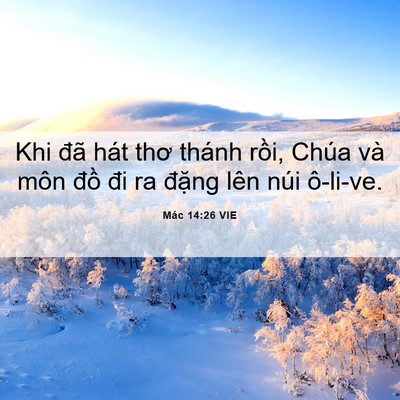 Picture 06 - Mác 14:26 VIE - Khi đã hát thơ thánh rồi, Chúa và môn - Bible Verse Picture