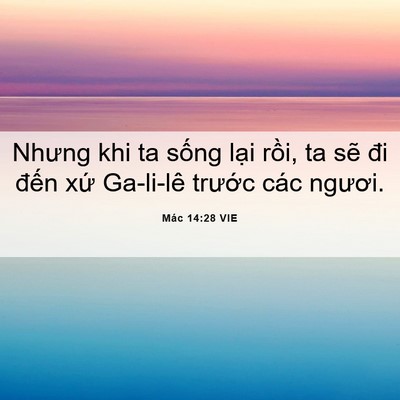 Picture 06 - Mác 14:28 VIE - Nhưng khi ta sống lại rồi, ta sẽ đi - Bible Verse Picture