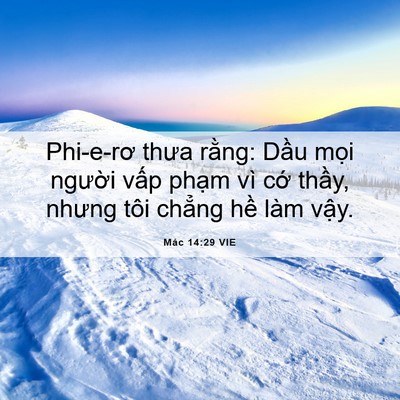 Picture 06 - Mác 14:29 VIE - Phi-e-rơ thưa rằng: Dầu mọi người - Bible Verse Picture