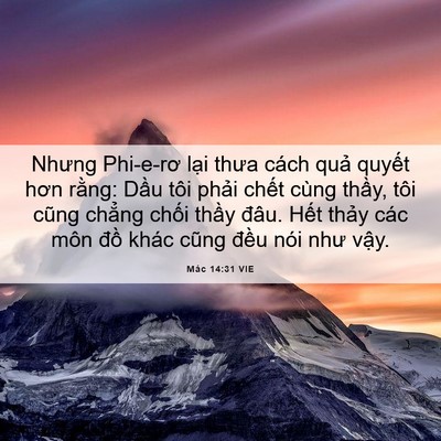 Picture 06 - Mác 14:31 VIE - Nhưng Phi-e-rơ lại thưa cách quả quyết - Bible Verse Picture