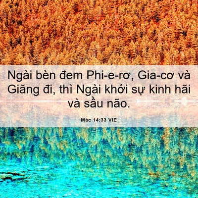 Picture 06 - Mác 14:33 VIE - Ngài bèn đem Phi-e-rơ, Gia-cơ và Giăng - Bible Verse Picture
