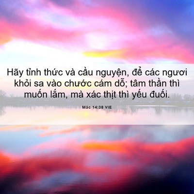 Picture 06 - Mác 14:38 VIE - Hãy tỉnh thức và cầu nguyện, để các - Bible Verse Picture